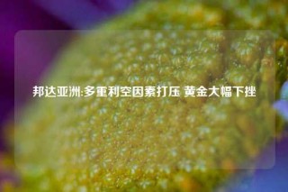 邦达亚洲:多重利空因素打压 黄金大幅下挫