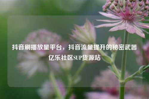 抖音刷播放量平台，抖音流量提升的秘密武器亿乐社区SUP货源站  第1张