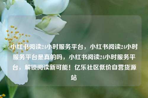 小红书阅读24小时服务平台，小红书阅读24小时服务平台是真的吗	，小红书阅读24小时服务平台，解锁阅读新可能！亿乐社区低价自营货源站  第1张