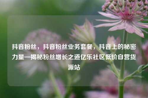 抖音粉丝，抖音粉丝业务套餐，抖音上的秘密力量—揭秘粉丝增长之道亿乐社区低价自营货源站  第1张