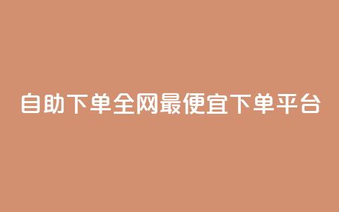 自助下单全网最便宜下单平台,抖音ios充值入口官网1比10 - ks播放量业务免费 卡盟点赞业务  第1张