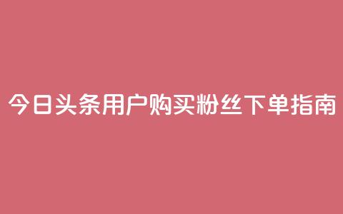 今日头条用户购买粉丝下单指南 第1张 今日头条用户购买粉丝下单指南 第1张