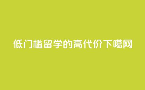 “低门槛	”留学的“高代价”  第1张