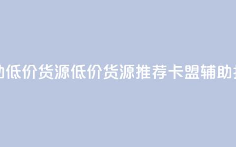 卡盟辅助低价货源(低价货源推荐：卡盟辅助打折促销)  第1张