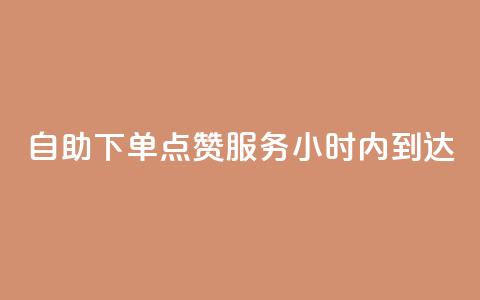 自助下单点赞服务24小时内到达  第1张