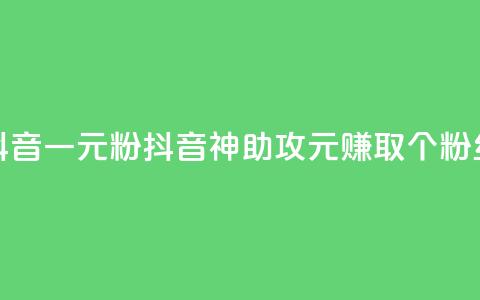 抖音一元1000粉(抖音神助攻：1元赚取1000个粉丝)  第1张