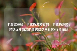 卡盟货源站，卡盟货源站官网，卡盟货源站，寻找优质商品的新选择亿乐社区SUP货源站