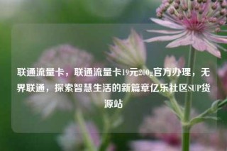 联通流量卡，联通流量卡19元200g官方办理，无界联通，探索智慧生活的新篇章亿乐社区SUP货源站