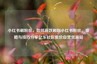 小红书刷粉丝，如何高效刷取小红书粉丝，攻略与技巧分享亿乐社区低价自营货源站
