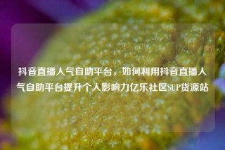 抖音直播人气自助平台，如何利用抖音直播人气自助平台提升个人影响力亿乐社区SUP货源站