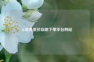 dy业务低价自助下单平台网站