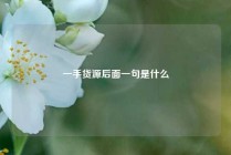 一手货源后面一句是什么