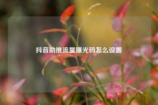抖音助推流量曝光码怎么设置