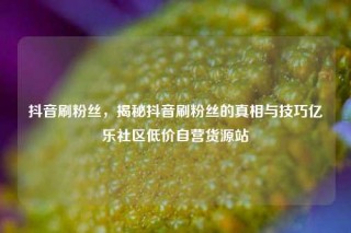 抖音刷粉丝，揭秘抖音刷粉丝的真相与技巧亿乐社区低价自营货源站