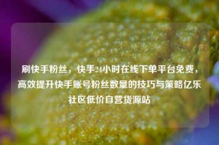刷快手粉丝，快手24小时在线下单平台免费，高效提升快手账号粉丝数量的技巧与策略亿乐社区低价自营货源站