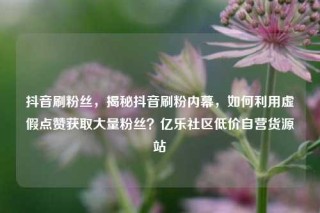 抖音刷粉丝，揭秘抖音刷粉内幕，如何利用虚假点赞获取大量粉丝？亿乐社区低价自营货源站
