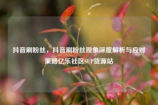 抖音刷粉丝，抖音刷粉丝现象深度解析与应对策略亿乐社区SUP货源站