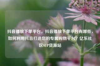 抖音播放下单平台，抖音播放下单平台有哪些，如何利用抖音打造您的专属购物平台？亿乐社区SUP货源站