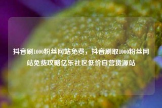 抖音刷1000粉丝网站免费，抖音刷取1000粉丝网站免费攻略亿乐社区低价自营货源站