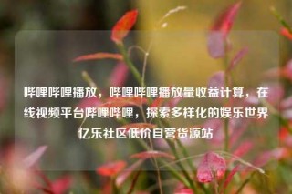 哔哩哔哩播放，哔哩哔哩播放量收益计算，在线视频平台哔哩哔哩，探索多样化的娱乐世界亿乐社区低价自营货源站