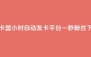 游戏卡盟24小时自动发卡平台 - 一秒1w粉丝app