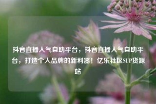 抖音直播人气自助平台，抖音直播人气自助平台，打造个人品牌的新利器！亿乐社区SUP货源站