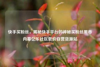 快手买粉丝，揭秘快手平台的神秘买粉丝黑市内幕亿乐社区低价自营货源站