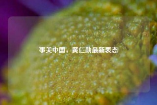 事关中国，黄仁勋最新表态