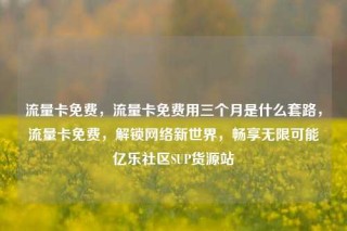 流量卡免费，流量卡免费用三个月是什么套路，流量卡免费，解锁网络新世界，畅享无限可能亿乐社区SUP货源站