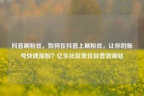 抖音刷粉丝，如何在抖音上刷粉丝，让你的账号快速涨粉？亿乐社区低价自营货源站