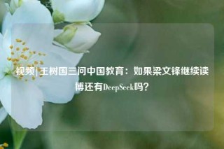 视频|王树国三问中国教育：如果梁文锋继续读博还有DeepSeek吗？