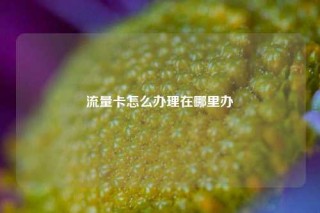流量卡怎么办理在哪里办