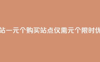 ks买站一元100个(购买KS站点仅需1元100个，限时优惠)
