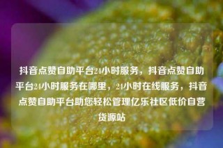 抖音点赞自助平台24小时服务，抖音点赞自助平台24小时服务在哪里，24小时在线服务，抖音点赞自助平台助您轻松管理亿乐社区低价自营货源站