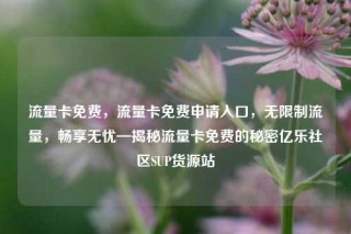 流量卡免费，流量卡免费申请入口，无限制流量，畅享无忧—揭秘流量卡免费的秘密亿乐社区SUP货源站
