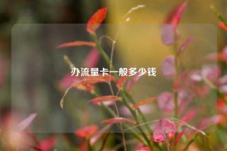 办流量卡一般多少钱