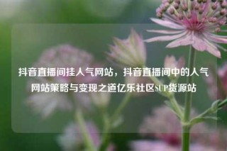 抖音直播间挂人气网站，抖音直播间中的人气网站策略与变现之道亿乐社区SUP货源站