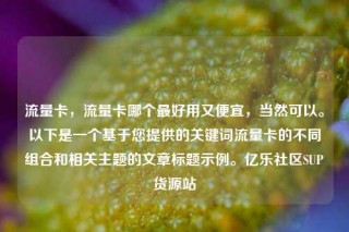 流量卡，流量卡哪个最好用又便宜，当然可以。以下是一个基于您提供的关键词流量卡的不同组合和相关主题的文章标题示例。亿乐社区SUP货源站