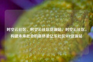 时空云社区，时空云社区货源站，时空云社区，构建未来社会的新桥梁亿乐社区SUP货源站