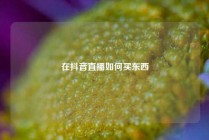 在抖音直播如何买东西