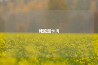 纯流量卡坑