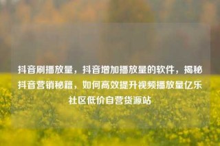 抖音刷播放量，抖音增加播放量的软件，揭秘抖音营销秘籍，如何高效提升视频播放量亿乐社区低价自营货源站
