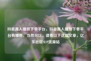 抖音真人播放下单平台，抖音真人播放下单平台有哪些，当然可以，请看以下这篇文章，亿乐社区SUP货源站