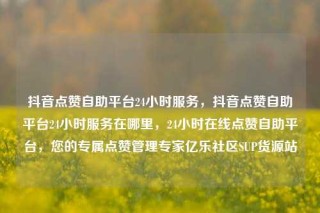 抖音点赞自助平台24小时服务，抖音点赞自助平台24小时服务在哪里，24小时在线点赞自助平台，您的专属点赞管理专家亿乐社区SUP货源站