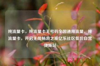 纯流量卡，纯流量卡无号码全国通用流量，纯流量卡，开启无限畅游之旅亿乐社区低价自营货源站
