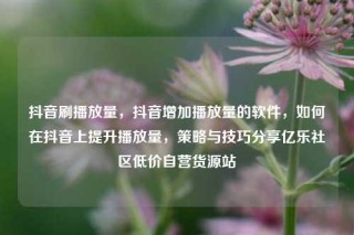 抖音刷播放量，抖音增加播放量的软件，如何在抖音上提升播放量，策略与技巧分享亿乐社区低价自营货源站