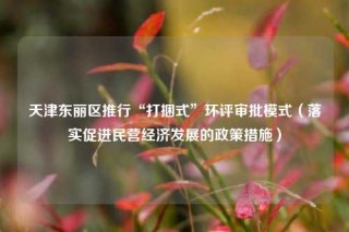 天津东丽区推行“打捆式”环评审批模式（落实促进民营经济发展的政策措施）