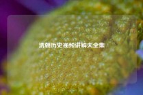 清朝历史视频讲解大全集
