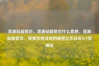 货源站超低价，货源站超低价什么意思，货源站超低价，探索价格洼地的秘密亿乐社区SUP货源站