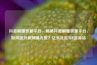 抖音刷播放量平台，揭秘抖音刷播放量平台，如何提升视频曝光度？亿乐社区SUP货源站